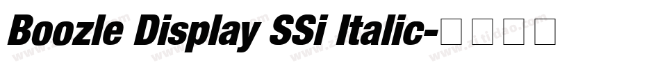 Boozle Display SSi Italic字体转换